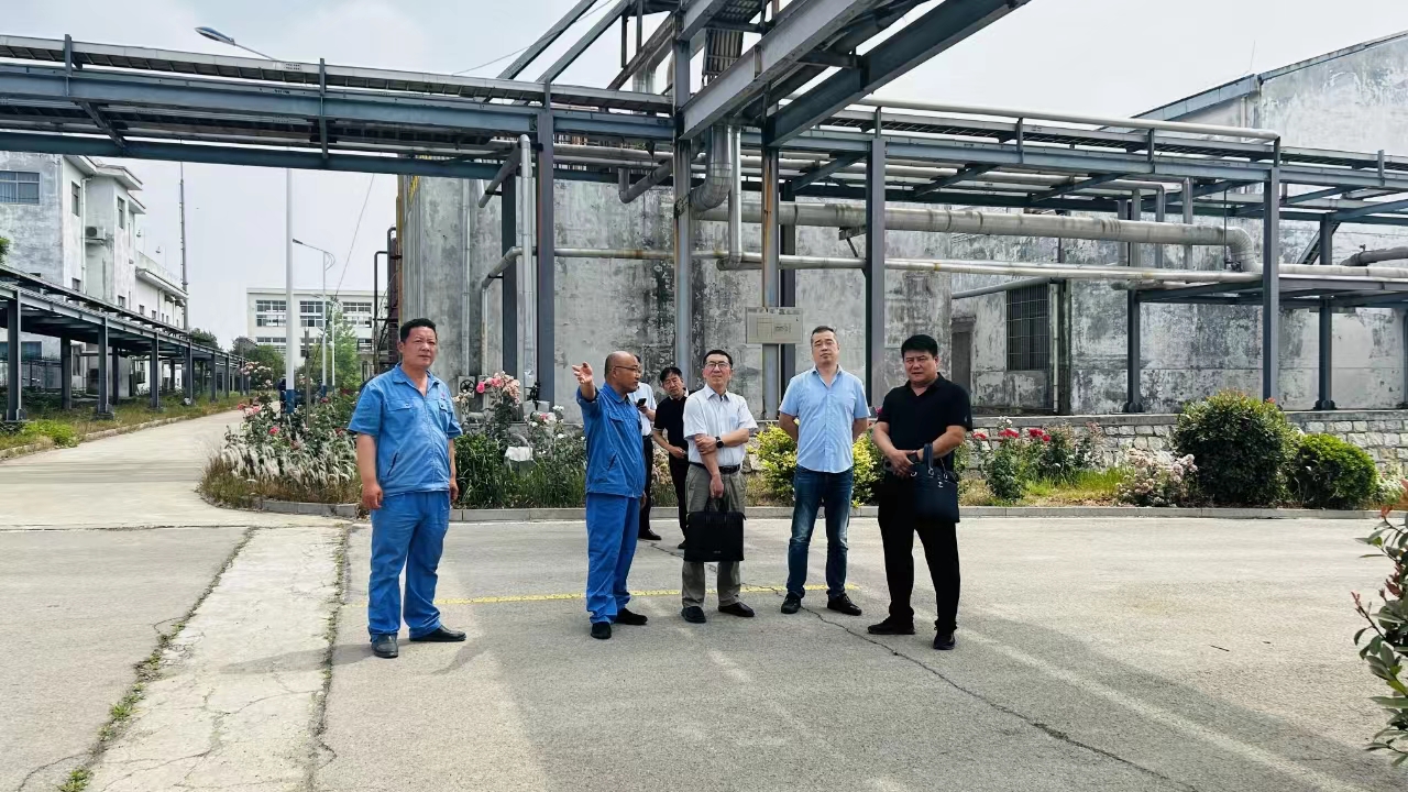 1717487263277905.jpg 1717487263277905.jpg